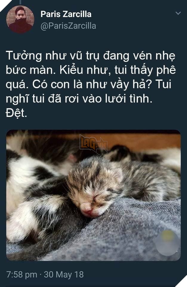  
"Tui thấy phê quá, có con là vậy hả?".
