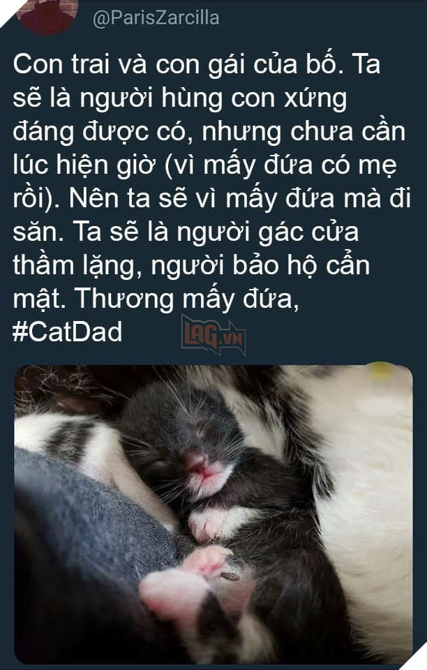  
Chia sẻ với niềm hạnh phúc, anh thậm chí còn trend hastag #Catdad đích thực.