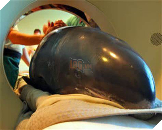 Khi bé Na và bạn bè đi chụp CT: Máu mặt như chúa sơn lâm hay nguy hiểm như báo cũng phải cúp đuôi ngoan ngoãn nghe lời bác sĩ 3