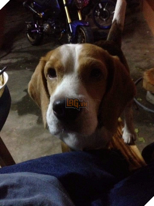  
Trông em dễ thương quá! 