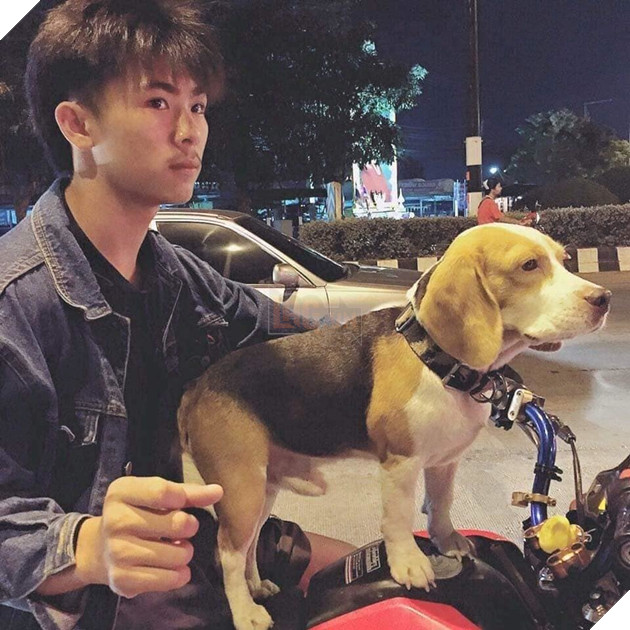 “Bạn thân” bị tai nạn, chàng trai khóc cạn nước mắt: Ngày hôm ấy thế giới của anh sụp đổ!