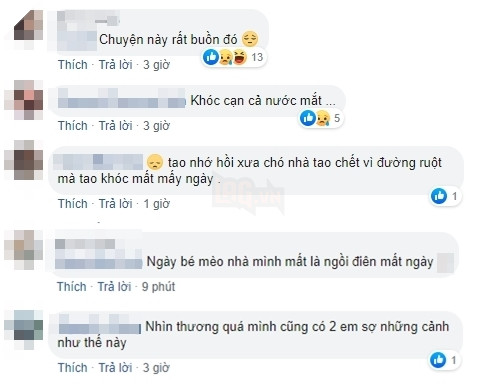 “Bạn thân” bị tai nạn, chàng trai khóc cạn nước mắt: Ngày hôm ấy thế giới của anh sụp đổ!