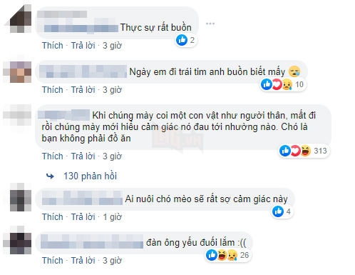  
Những bình luận bày tỏ sự luyến tiếc.