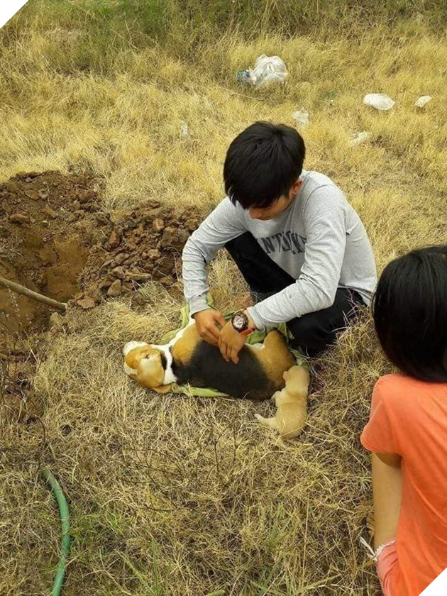  
Rồi lặng lẽ an táng cho người bạn nhỏ. 