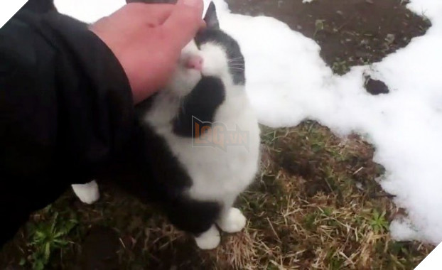   Cách duy nhất là đi theo một con đường mòn nhỏ dẫn xuống chân núi nhưng nó đã bị đóng cửa trong mùa ít khách du lịch  