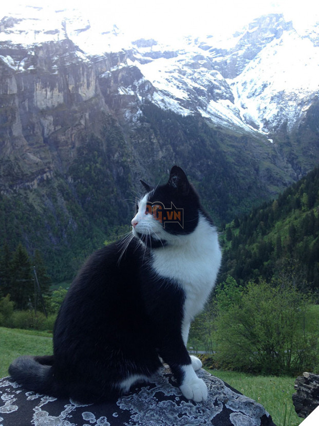   Đến khi chàng trai tìm được đường về, họ tạm biệt nhau ở chân núi  