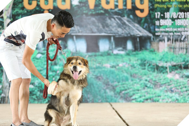 Cậu Vàng của Nam Cao: Phim Việt đầu tiên vai chính là một chú chó - Ảnh 6.