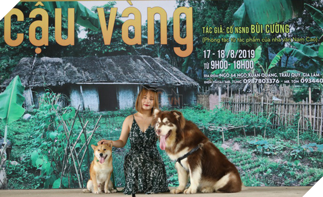 Cậu Vàng của Nam Cao: Phim Việt đầu tiên vai chính là một chú chó - Ảnh 4.