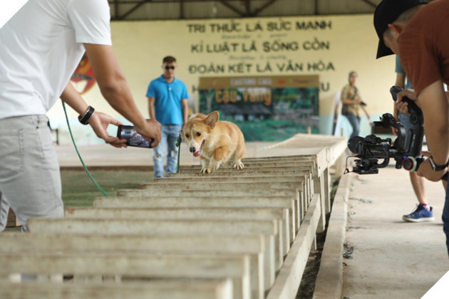 Cậu Vàng của Nam Cao: Phim Việt đầu tiên vai chính là một chú chó - Ảnh 8.