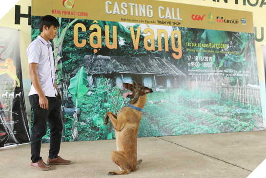 Cậu Vàng của Nam Cao: Phim Việt đầu tiên vai chính là một chú chó - Ảnh 3.