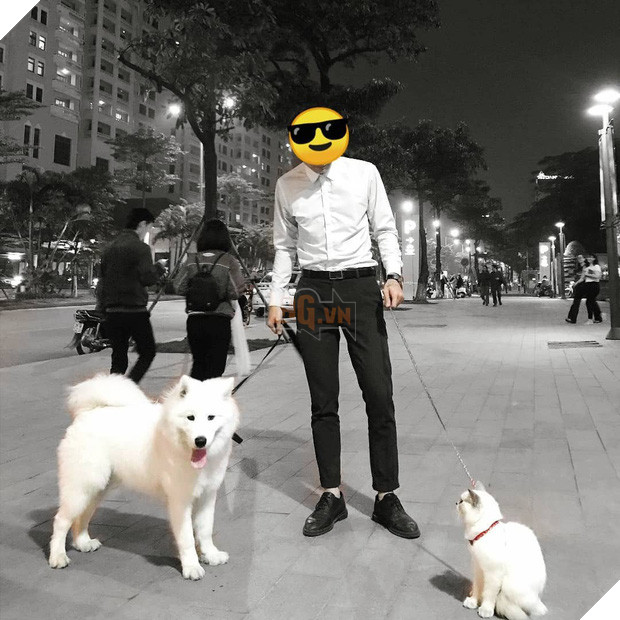 Chàng trai độc thân với một căn phòng nhỏ, một chú chó, một bé mèo: Định nghĩa bình yên kiểu mới là đây! - Ảnh 4.