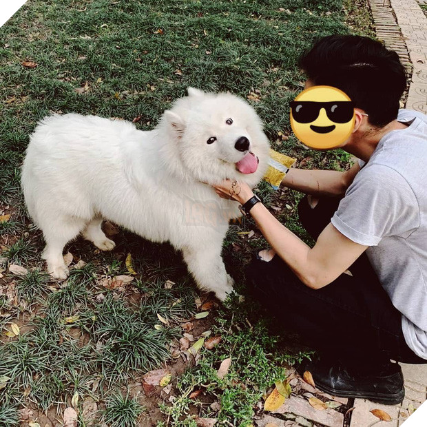 Chàng trai độc thân với một căn phòng nhỏ, một chú chó, một bé mèo: Định nghĩa bình yên kiểu mới là đây! - Ảnh 6.