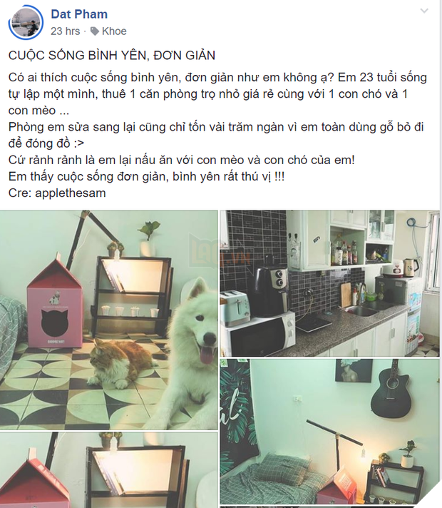 Chàng trai độc thân với một căn phòng nhỏ, một chú chó, một bé mèo: Định nghĩa bình yên kiểu mới là đây! - Ảnh 1.