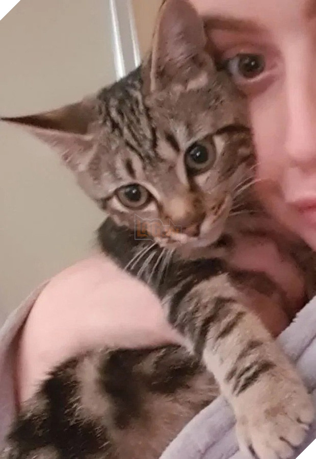 Ảnh nóng bị gửi cho người lạ trên mạng, cô gái độn thổ khi biết hung thủ phát tán không ai khác chính là boss cưng - Ảnh 3.