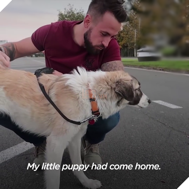 Gặp nhau nơi chiến trận điêu tàn, điều gì làm sen và boss quyết ở cùng nhau mãi mãi? 9