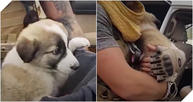 Gặp nhau nơi chiến trận điêu tàn, điều gì làm sen và boss quyết ở cùng nhau mãi mãi? 3