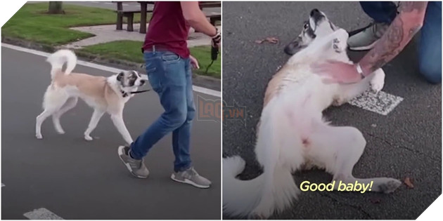 Gặp nhau nơi chiến trận điêu tàn, điều gì làm sen và boss quyết ở cùng nhau mãi mãi? 8