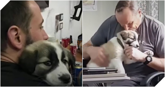 Gặp nhau nơi chiến trận điêu tàn, điều gì làm sen và boss quyết ở cùng nhau mãi mãi? 5