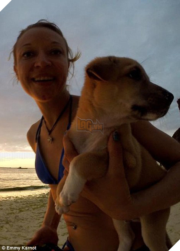 Hành động của du khách người Đức với chú chó nhỏ bị bỏ rơi sẽ khiến bạn bật khóc - Ảnh 3.