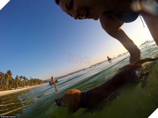 Hành động của du khách người Đức với chú chó nhỏ bị bỏ rơi sẽ khiến bạn bật khóc - Ảnh 4.