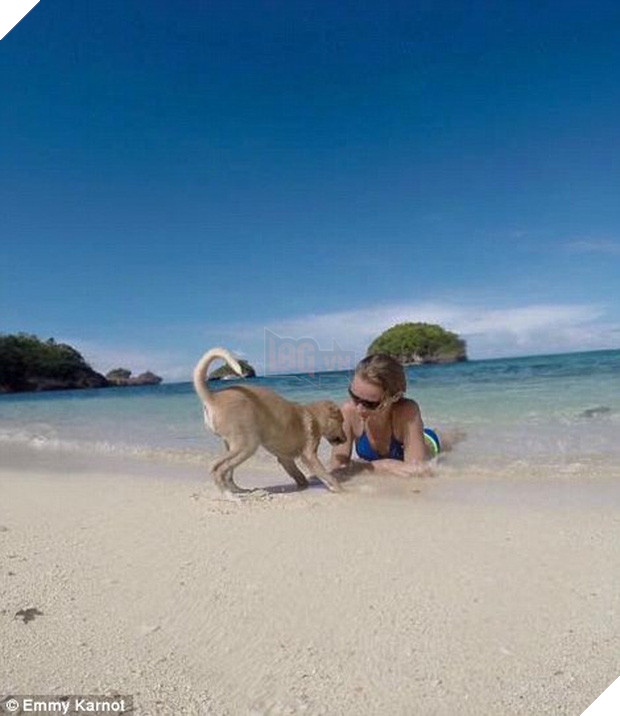 Hành động của du khách người Đức với chú chó nhỏ bị bỏ rơi sẽ khiến bạn bật khóc - Ảnh 5.