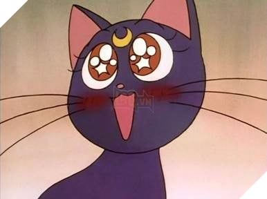 Tan chảy với loạt pet trong các anime lừng danh