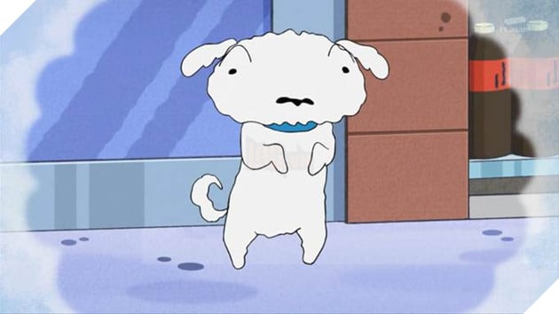 Tan chảy với loạt pet trong các anime lừng danh 7