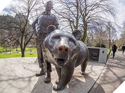 Có 1 chú gấu siêu to chuyên tải đạn là Hạ Sĩ của quân đội Ba Lan từng tham gia chiến tranh thế giới thứ 2 3