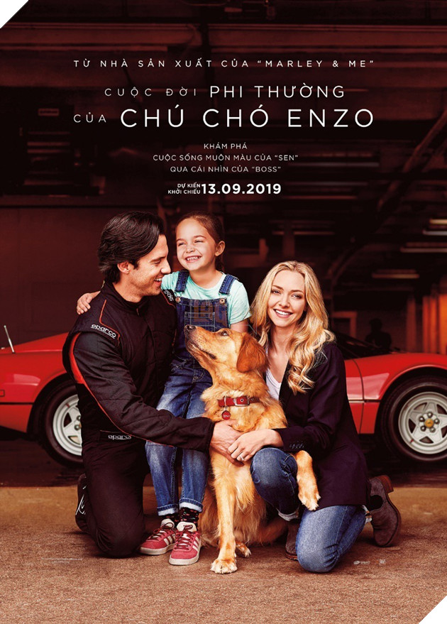 Cuộc đời phi thường của chú chó Enzo: Cuộc đời sẽ ra sao nếu được nhìn qua ánh mắt của một chú chó?