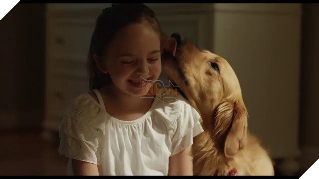 Cuộc đời phi thường của chú chó Enzo: Chúng ta nhìn thấy gì từ suy nghĩ của một chú chó? 7