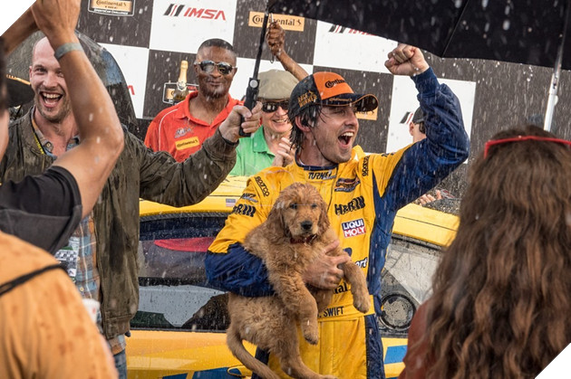 Cuộc đời phi thường của chú chó Enzo: Chúng ta nhìn thấy gì từ suy nghĩ của một chú chó? 5