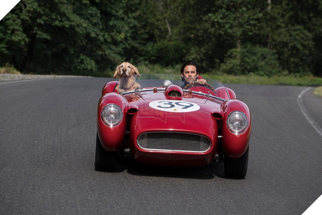 Cuộc đời phi thường của chú chó Enzo: Chúng ta nhìn thấy gì từ suy nghĩ của một chú chó? 4