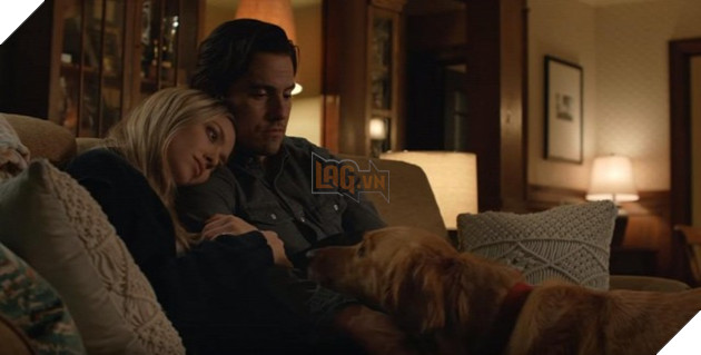 Cuộc đời phi thường của chú chó Enzo: Chúng ta nhìn thấy gì từ suy nghĩ của một chú chó? 6