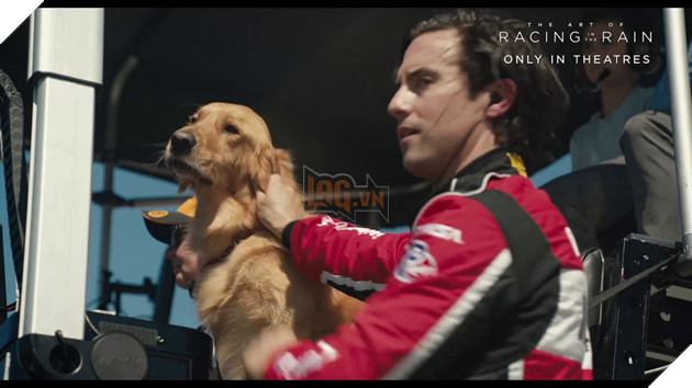 Cuộc đời phi thường của chú chó Enzo: Chúng ta nhìn thấy gì từ suy nghĩ của một chú chó? 8