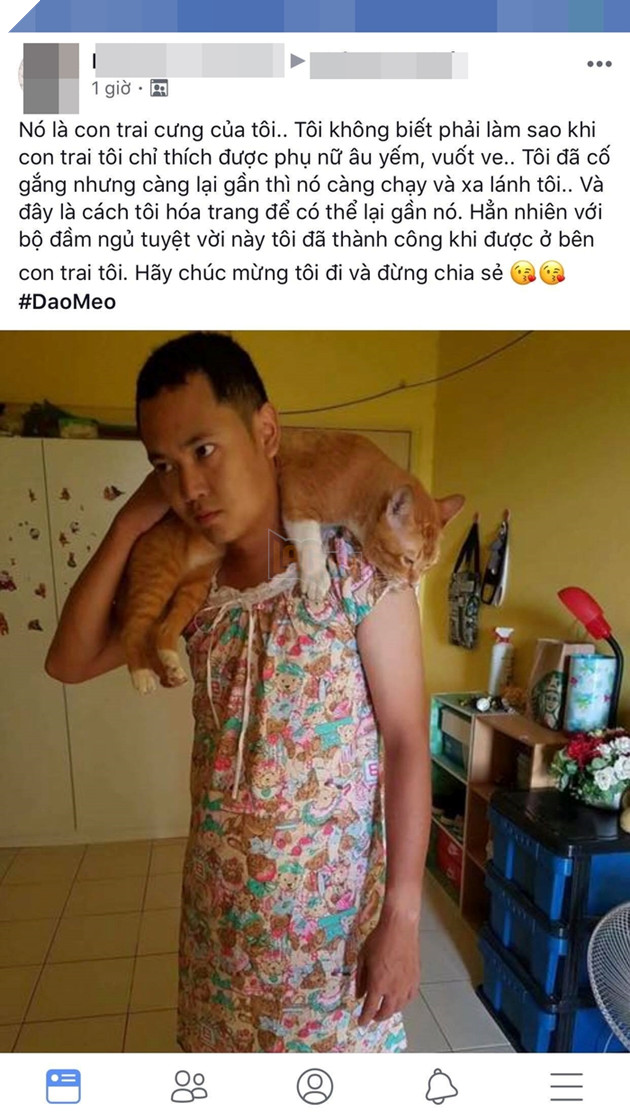 Vì mèo không thích đàn ông, “Thiếu nữ váy hoa” bất đắc dĩ ra đời 3