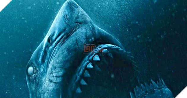 47 Meters Down: The Next Chapter - Cuộc thảm sát đẫm máu của hung thần dưới đại dương 3