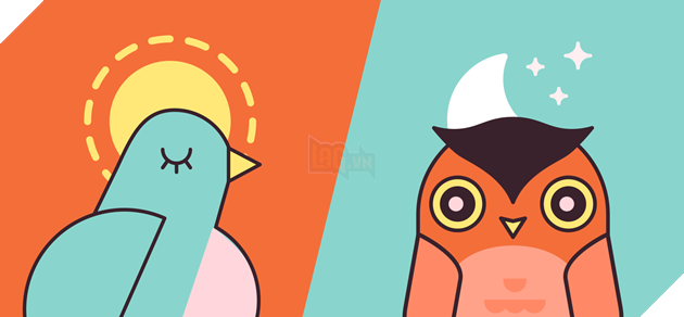 Vì sao có những người lại hoạt động tốt vào ban ngày, nhưng có người lại sáng tạo hơn vào ban đêm?