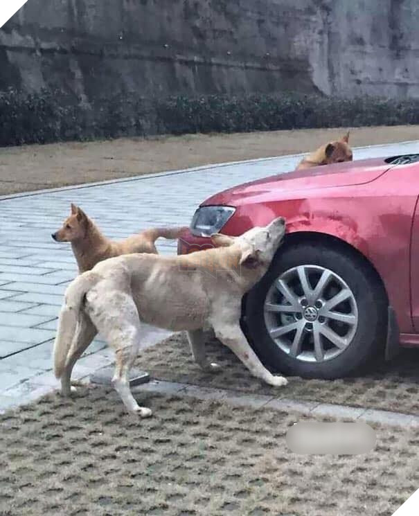  
Một cây làm chẳng nên non, ba cây chụm lại nên hòn núi cao...