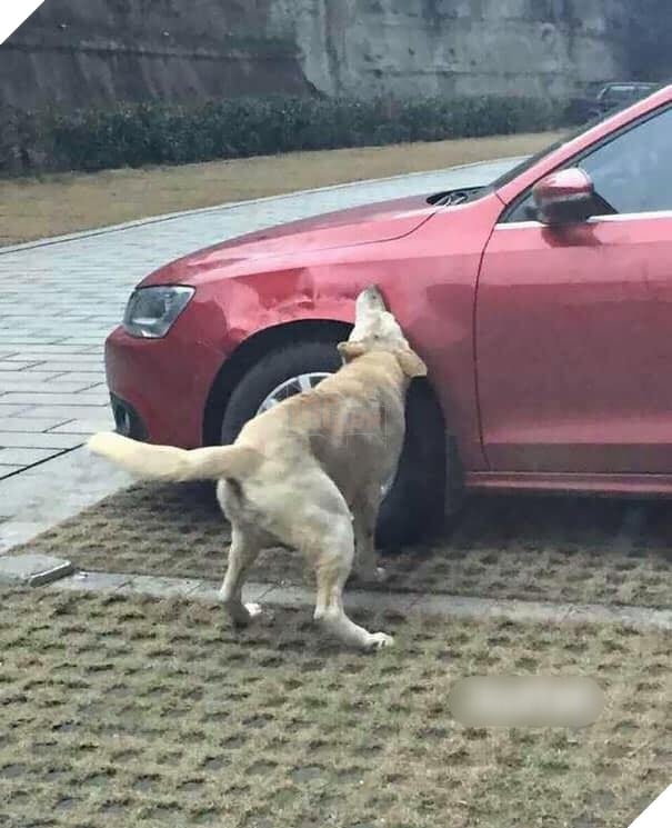  
"Quân tử trả thù mười năm cũng chưa muộn".