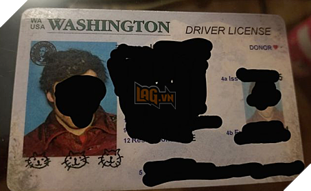 Brad Johnsen ký tên bằng ba đầu mèo. Ảnh: Bored Panda.