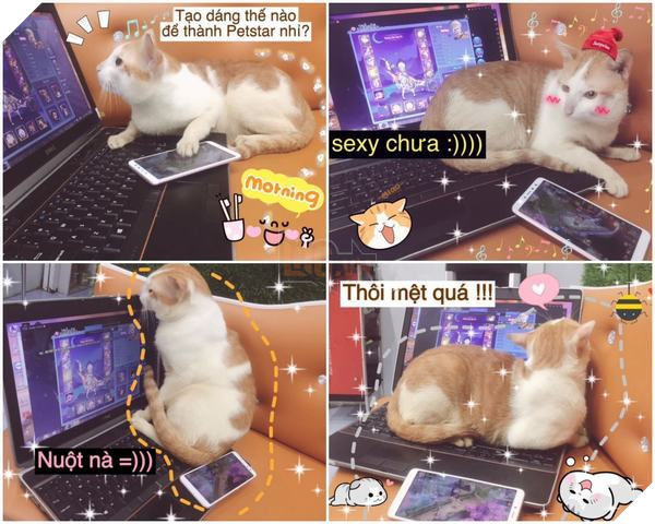 Võ Lâm Truyền Kỳ Mobile: Khi Boss học Sen tập làm game thủ 5