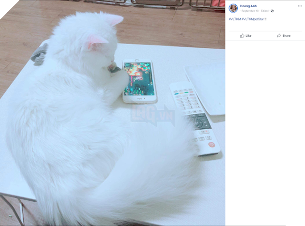 Võ Lâm Truyền Kỳ Mobile: Khi Boss học Sen tập làm game thủ 7