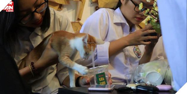  
Không những vậy chú còn rất thích trà sữa