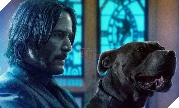 Sức hút của John Wick 3 lan tỏa từ ngoài rạp về tới nhà người hâm mộ