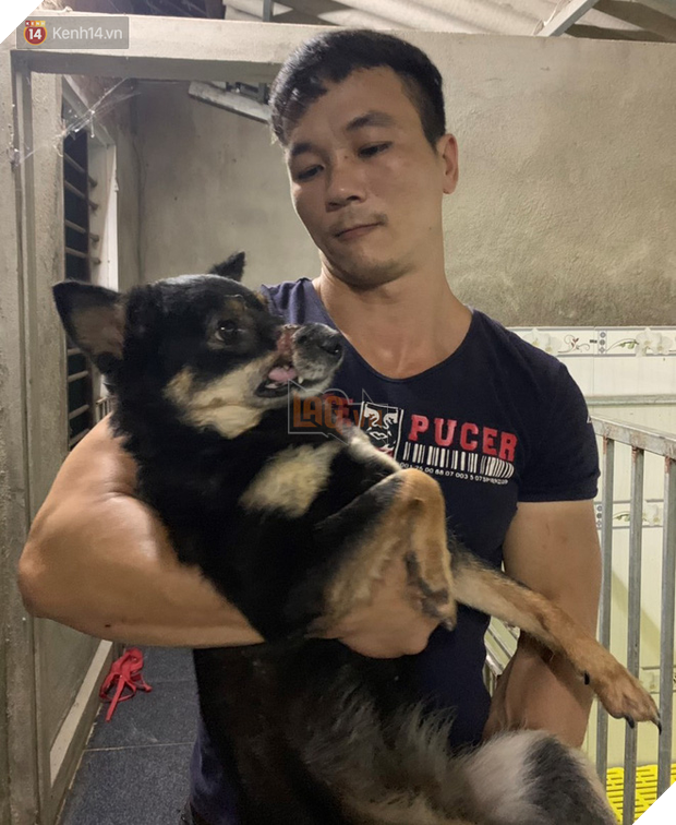 Cãi lời vợ, chàng trai trẻ bỏ hàng trăm triệu để “đổi đời” cho hàng nghìn chú chó mèo bị bỏ rơi ở Huế - Ảnh 11.