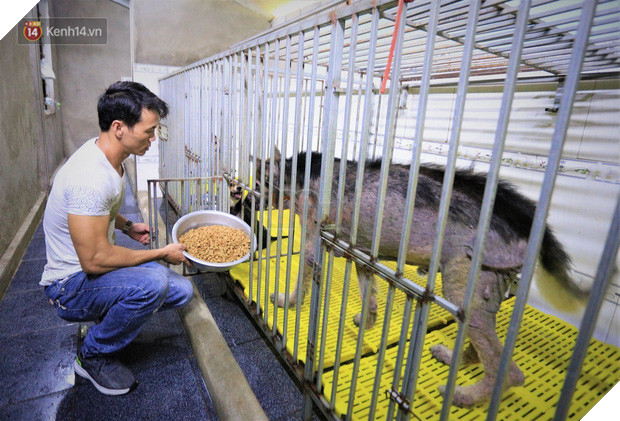 Cãi lời vợ, chàng trai trẻ bỏ hàng trăm triệu để “đổi đời” cho hàng nghìn chú chó mèo bị bỏ rơi ở Huế - Ảnh 9.