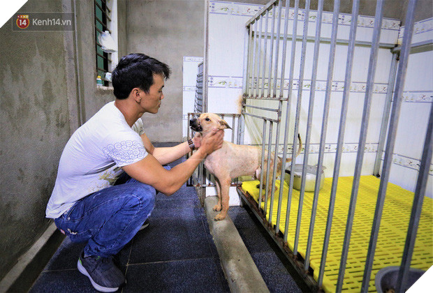 Cãi lời vợ, chàng trai trẻ bỏ hàng trăm triệu để “đổi đời” cho hàng nghìn chú chó mèo bị bỏ rơi ở Huế - Ảnh 13.