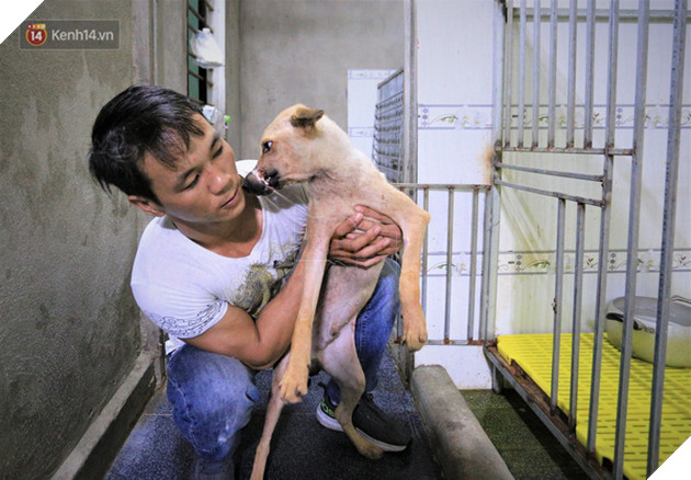C&#227;i lời vợ, ch&#224;ng trai trẻ bỏ h&#224;ng trăm triệu để “đổi đời” cho h&#224;ng ngh&#236;n ch&#250; ch&#243; m&#232;o bị bỏ rơi ở Huế - Ảnh 15.