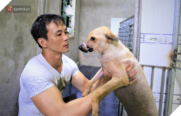 Cãi lời vợ, chàng trai trẻ bỏ hàng trăm triệu để “đổi đời” cho hàng nghìn chú chó mèo bị bỏ rơi ở Huế - Ảnh 2.