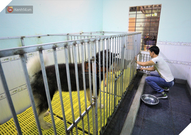 Cãi lời vợ, chàng trai trẻ bỏ hàng trăm triệu để “đổi đời” cho hàng nghìn chú chó mèo bị bỏ rơi ở Huế - Ảnh 8.